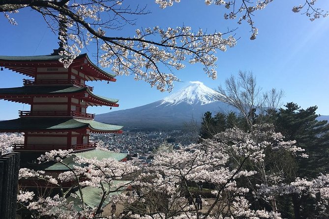 Private Car Tour to Mt. Fuji Lake Kawaguchiko or Hakone - When you switch to Hakone: ropeway views, volcanic eggs, and Lake Ashi cruising