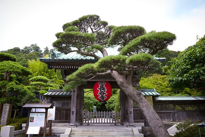 Private Car Tour to see Highlights of Kamakura, Enoshima, Yokohama from Tokyo - Private car comfort for a Tokyo day trip that actually feels like a trip