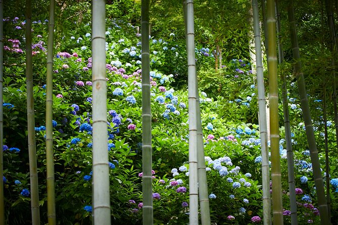 Private Car Tour to see Highlights of Kamakura, Enoshima, Yokohama from Tokyo - Kotoku-in and the Great Buddha: the classic start that sets the tone