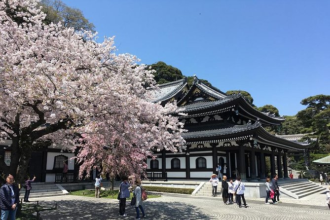 Private Car Tour to see Highlights of Kamakura, Enoshima, Yokohama from Tokyo - Tokeiji Temple and the anime railroad photo stop