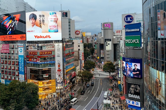 Private City Kickstart Tour: Tokyo - Who This Tour Suits Best (And Who Might Want Something Else)