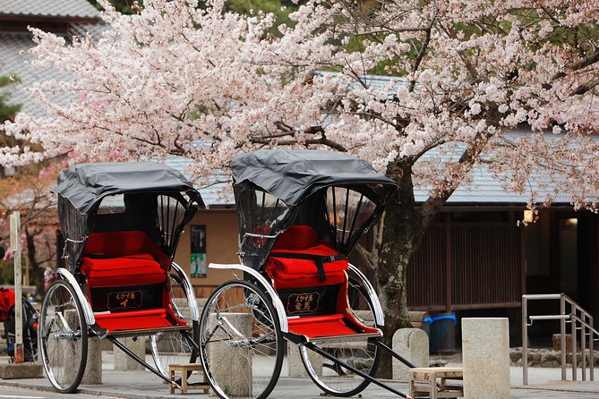 Private Custom Tour: Kyoto in One Day - Key highlights to look for before you book
