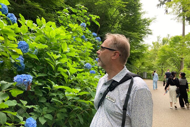Private Custom Tour: Kyoto in One Day - What you can expect at each classic stop
