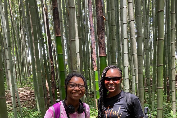 Private Custom Tour: Kyoto in One Day - Lunch in a local Japanese restaurant: a real reset