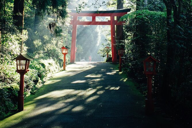 Private Fuji Hakone Tour Charter with English Speaking Driver - Why this private Fuji Hakone day trip feels less stressful