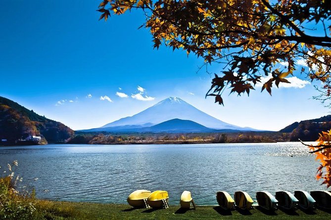 Private Fuji Hakone Tour Charter with English Speaking Driver - The Tokyo to Hakone drive, and why timing matters