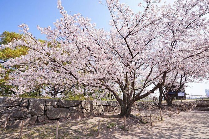 Private Fukuoka Tour with a Local, Highlights & Hidden Gems 100% Personalised - Price and Value: Is $66.83 Worth It?