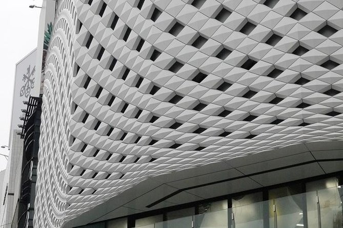 Private Ginza Architecture Walking Tour - Who should book, and who might want a different style of tour
