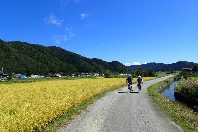 Private-group Morning Cycling Tour in Hida-Furukawa - Price and What You Really Get for $214.48