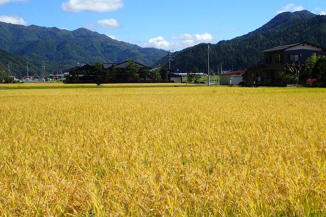 Private-group Morning Cycling Tour in Hida-Furukawa - Rice Fields, Old Folk Houses, and a Vegetable Market Stop