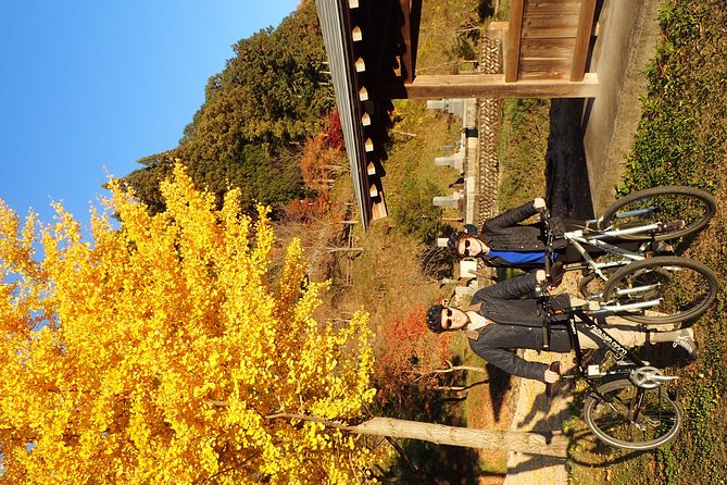 Private-group Morning Cycling Tour in Hida-Furukawa - Who Should Book This Cycling Tour
