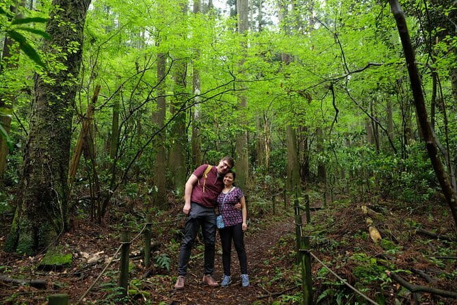 Private Hakone Half-day Car Tour with Hotel Pickup - Local Guide - Food and Drink Options: Craft Beer and Local Flavors