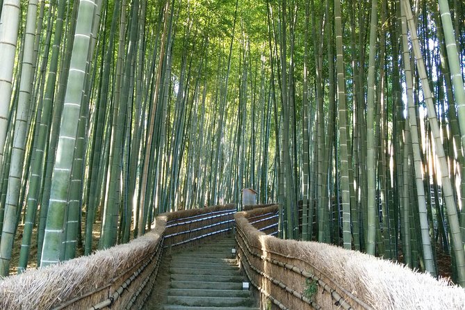 Private Highlights of Kyoto Tour - Key highlights worth planning for
