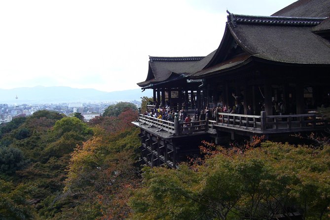 Private Highlights of Kyoto Tour - Arashiyama Park, Togetsukyo, and Bamboo Forest: why this part hits hard