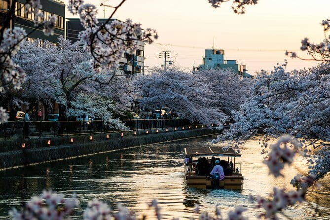 Private Kyoto Customizable Day Tour with English Speaking Driver - How a private Kyoto car tour saves you real time