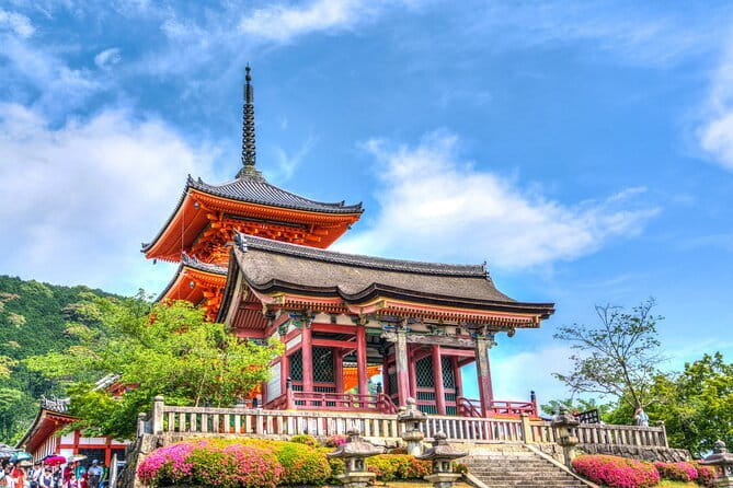 Private Kyoto Customizable Day Tour with English Speaking Driver - Arashiyama Bamboo Grove time: your first slow moment