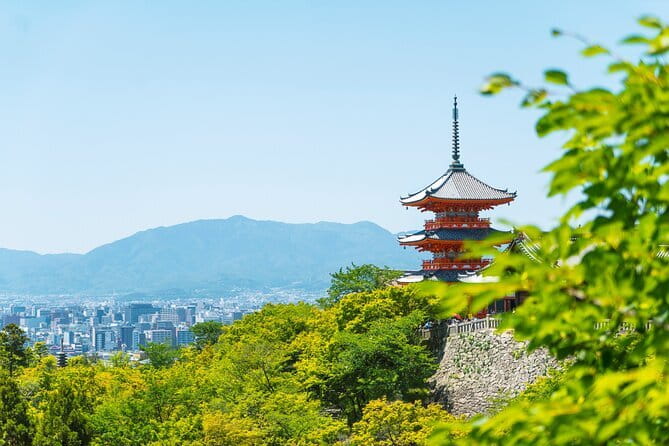 Private Kyoto Customizable Day Tour with English Speaking Driver - Kinkaku-ji Golden Pavilion: why one hour can work