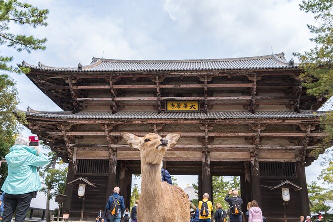 Private Kyoto Tour by Car with Optional Nara or Osaka Add-Ons - Why a private car makes Kyoto feel easier