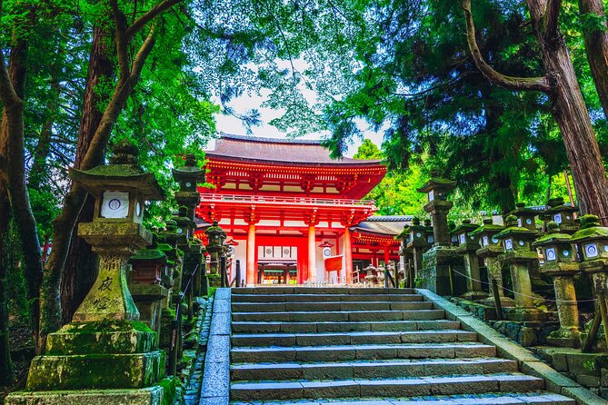Private Kyoto Tour by Car with Optional Nara or Osaka Add-Ons - Nara add-on: deer park plus Todai-ji and Kasuga Taisha