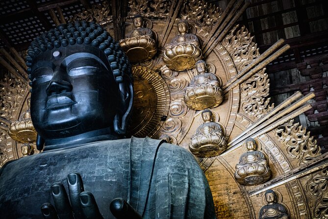 Private Kyoto Tour by Car with Optional Nara or Osaka Add-Ons - Price and value: what you’re really paying for