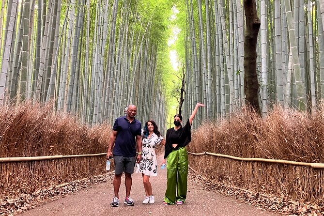 Private Kyoto Tour with Licensed Guide & Vehicle (Max 15 persons) - Comfort Details That Actually Matter: Pickup, Driver Help, and Short Walk Planning
