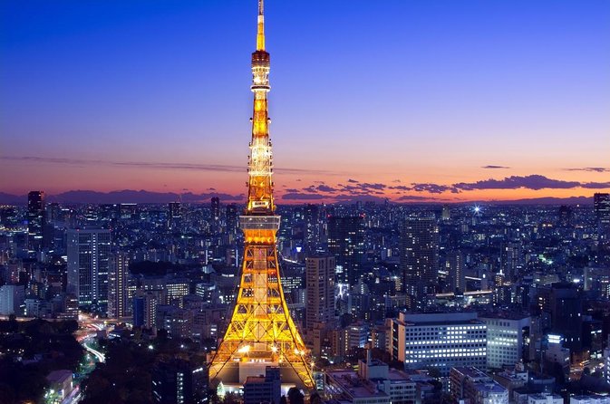 Private Memorable Tokyo Tour with English Speaking Driver - Key Highlights to Know Before You Go