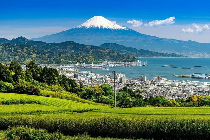 Private Mount Fuji Tour in Luxury Vehicle with English Guide - A shrine, a blue photo wall, and getting your bearings fast