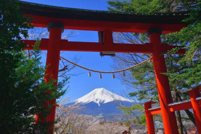 Private Mount Fuji Tour in Luxury Vehicle with English Guide - Owaku-dani Valley near Hakone: volcanic fumes and crater drama