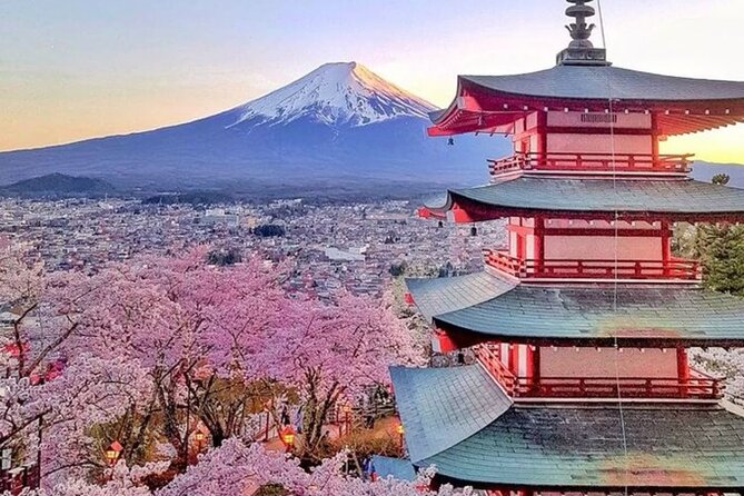 Private Mount Fuji Tour in Luxury Vehicle with English Guide - A guide makes or breaks the day, Mukarram Muhammad and Talha Lakha