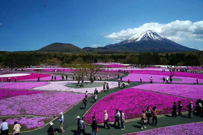 Private Mount Fuji Tour in Luxury Vehicle with English Guide - Price and value: what $650 per group buys you