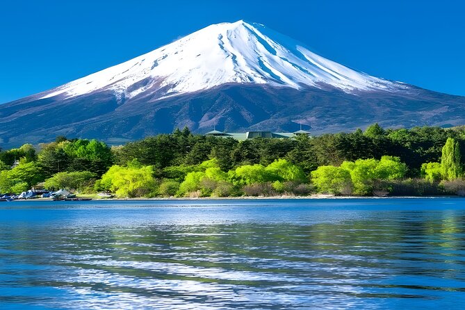 Private Mt. Fuji Day Trip from Tokyo with English-Speaking Driver - A 10-Hour Fuji Route That You Can Steer