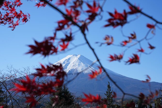 Private Mt. Fuji Day Trip from Tokyo with English-Speaking Driver - Mt. Fuji Panoramic Ropeway (Kachi-Kachi): What You Pay For