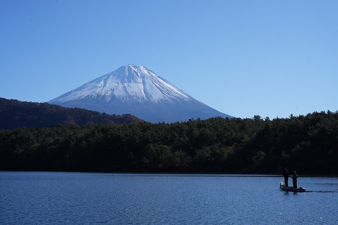 Private Mt. Fuji Day Trip from Tokyo with English-Speaking Driver - Oishi Park: Seasonal Flower Color With Fuji Backdrop Chances