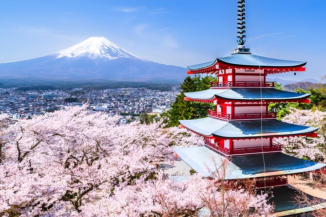 Private Mt. Fuji Day Trip from Tokyo with English-Speaking Driver - Hotel Pickup Anywhere in Tokyo, With Comfort Covered