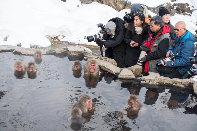 Private Nagano 1-Day Tour:Snow Monkeys,Zenko-ji,Obuse,Sake,Onsen - Price and value: what you pay, what you still buy