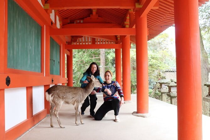 Private Nara Tour and Sake Tasting (Departing from Kyoto/Nara) - Key Highlights You’ll Actually Care About