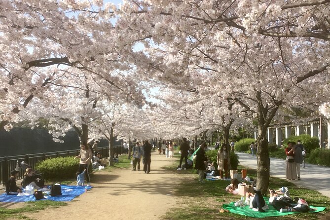 Private Osaka Tour with Hotel Meet Up - Key highlights you can actually use before you go
