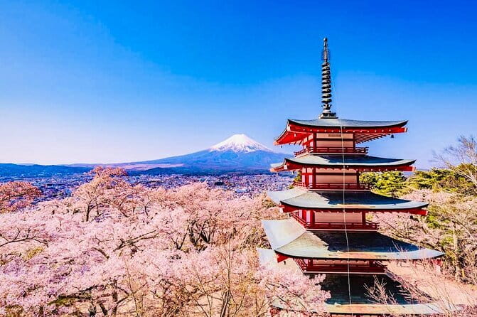 Private Sightseeing to Mt Fuji and Hakone with English Driver - Key things to know before you go