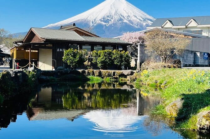 Private Sightseeing to Mt Fuji and Hakone with English Driver - Why a private Mt Fuji and Hakone day is worth it