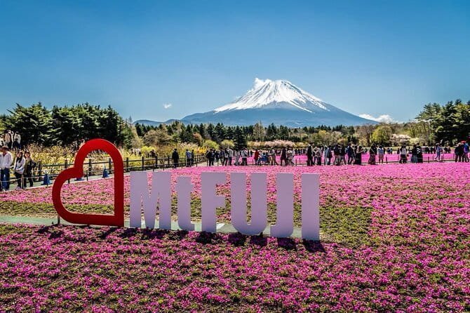 Private Sightseeing to Mt Fuji and Hakone with English Driver - Oishi Park at Lake Kawaguchi: flower seasons and a short, easy walk