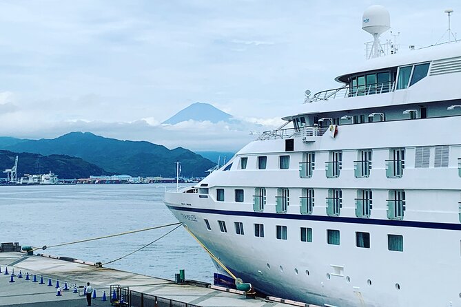 Private Sightseeing Tour from Shimizu Port / Sedan Taxi - Key highlights at a glance