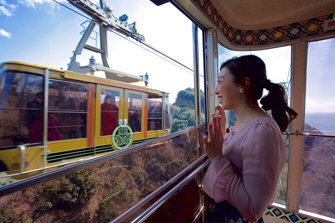 Private Sightseeing Tour from Shimizu Port / Sedan Taxi - Why Shimizu works so well for a Fuji day