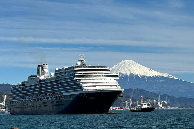 Private Sightseeing Tour from Shimizu Port / Sedan Taxi - Observatory, tea fields, and a Fuji break that feels local