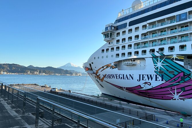 Private Sightseeing Tour from Shimizu Port / Sedan Taxi - Price and taxi comfort, plus who should book