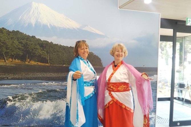 Private sightseeing tour from Shimizu Port / Van Taxi - Key highlights at a glance