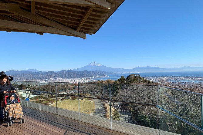 Private sightseeing tour from Shimizu Port / Van Taxi - Private van comfort from Shimizu Port (and why it matters)