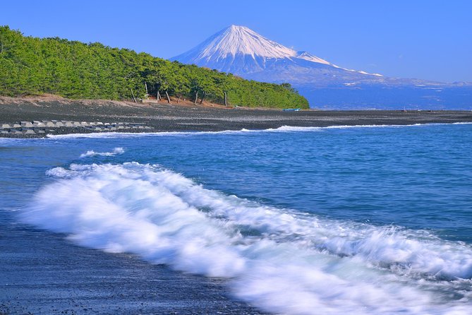 Private sightseeing tour from Shimizu Port / Van Taxi - Stop 1: Shimizu Port to Nihondaira base (getting positioned fast)