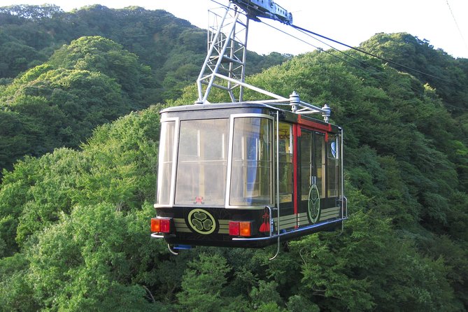 Private sightseeing tour from Shimizu Port / Van Taxi - Stop 4: Nihondaira Travel Observatory, Fuji, and the big-sky moment