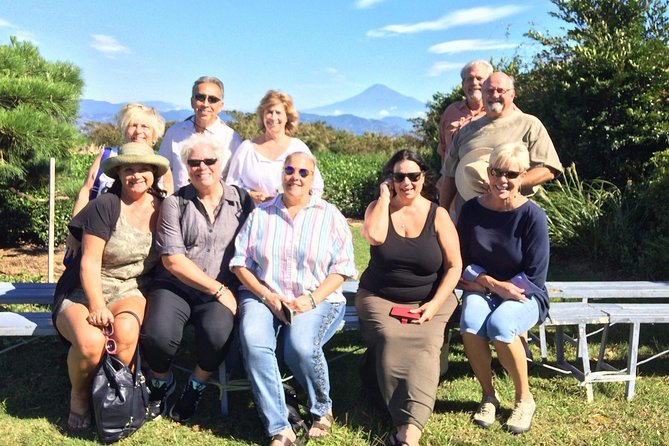 Private sightseeing tour from Shimizu Port / Van Taxi - Stop 5: Nihondaira Ochakaikan tea fields and Fuji photos