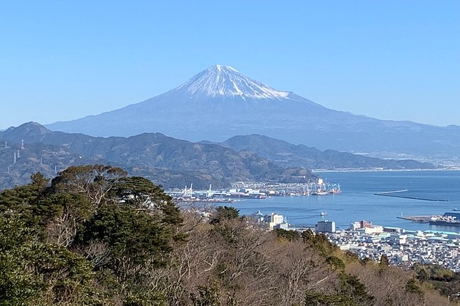 Private sightseeing tour from Shimizu Port / Van Taxi - The Mt Fuji viewing circuit: how you’ll actually see it